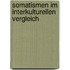 Somatismen Im Interkulturellen Vergleich