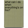 What Can I Do When Everything's on Fire? by Ant Nio Lobo Antunes