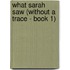What Sarah Saw (Without a Trace - Book 1)