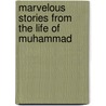 Marvelous Stories from the Life of Muhammad door Mardijah Aldrich Tarantino