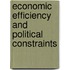 Economic Efficiency and Political Constraints