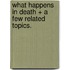 What Happens in Death + a Few Related Topics.