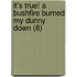 It's True! a Bushfire Burned My Dunny Down (8)