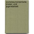 Sozialraumorientierte Kinder- Und Jugendarbeit