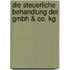 Die Steuerliche Behandlung Der Gmbh &Amp; Co. Kg
