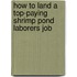How to Land a Top-Paying Shrimp Pond Laborers Job