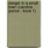 Danger in a Small Town (Carolina Justice - Book 1)