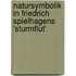 Natursymbolik in Friedrich Spielhagens 'sturmflut'
