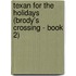 Texan for the Holidays (Brody's Crossing - Book 2)