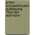 Arthur Schopenhauers Auffassung �Ber Den Wahnsinn