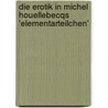 Die Erotik in Michel Houellebecqs 'Elementarteilchen' by Tina Hanke