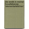 Die Erotik in Michel Houellebecqs 'Elementarteilchen' door Tina Hanke