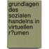 Grundlagen Des Sozialen Handelns in Virtuellen R�Umen
