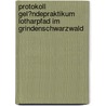 Protokoll Gel�Ndepraktikum Lotharpfad Im Grindenschwarzwald door Sabrina Gr�f