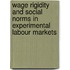 Wage Rigidity and Social Norms in Experimental Labour Markets