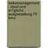 Risikomanagement - Ideal Und M�Gliche Ausgestaltung F�R Kmu