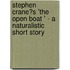 Stephen Crane�S 'The Open Boat ' - a Naturalistic Short Story