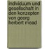 Individuum Und Gesellschaft in Den Konzepten Von Georg Herbert Mead
