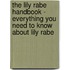 The Lily Rabe Handbook - Everything You Need to Know About Lily Rabe