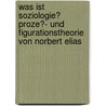 Was Ist Soziologie? Proze�- Und Figurationstheorie Von Norbert Elias door Erik Buder