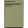 Auswertung Von Zusammenpassungen Am Beispiel Mesolithischer Fundpl�Tze by Pierre F�tterer