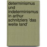 Determinismus Und Indeterminismus in Arthur Schnitzlers 'Das Weite Land' door Maike Vogelgesang