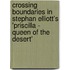 Crossing Boundaries in Stephan Elliott's 'Priscilla - Queen of the Desert'
