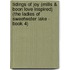 Tidings of Joy (Mills & Boon Love Inspired) (the Ladies of Sweetwater Lake - Book 4)