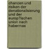 Chancen Und Risiken Der Denationalisierung Und Der Europ�Ischen Union Nach Habermas