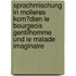 Sprachmischung in Molieres Kom�Dien Le Bourgeois Gentilhomme Und Le Malade Imaginaire
