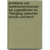 Probleme Und Selektionsinstanzen Bei Jugendlichen Im �Bergang Zwischen Schule Und Beruf door Lydia Gilde