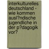 Interkulturelles Deutschland - Wie Kommen Ausl�Ndische Jugendliche in Der P�Dagogik Vor? door Sandra Kraus