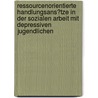 Ressourcenorientierte Handlungsans�Tze in Der Sozialen Arbeit Mit Depressiven Jugendlichen door Marie Laschitz