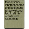 Feuerl�Scher - Inbetriebnahme Und Bedienung (Unterweisung Fachkraft F�R Schutz Und Sicherheit) door Eva Baumann