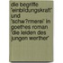 Die Begriffe 'Einbildungskraft' Und 'schw�Rmerei' in Goethes Roman 'Die Leiden Des Jungen Werther'