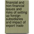 Financial and Non-Financial Issues and Risks of Setting Up Foreign Subsidiaries and Impact of Export Trade