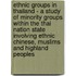 Ethnic Groups in Thailand - a Study of Minority Groups Within the Thai Nation State Involving Ethnic Chinese, Muslims and Highland Peoples