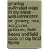 Growing Cultivated Crops in Dry Areas - with Information on Growing Corn, Sorghums, Potatoes, Field Beans and Field Roots on Dry Land Farms