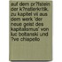 Auf Dem Pr�fstein Der K�nstlerkritik. Zu Kapitel Vii Aus Dem Werk 'Der Neue Geist Des Kapitalismus' Von Luc Boltanski Und �ve Chiapello