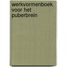 Werkvormenboek voor het puberbrein by Nanny Löning