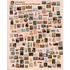Collectieboek