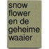 Snow flower en de geheime waaier