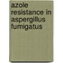 Azole resistance in Aspergillus fumigatus