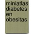 Miniatlas diabetes en obesitas