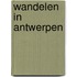 Wandelen in Antwerpen