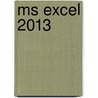 MS Excel 2013 door Van Den Broeck