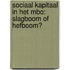 Sociaal kapitaal in het mbo: slagboom of hefboom?