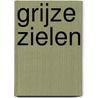 Grijze zielen by Philippe Claudel