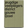Jeugdige veelplegers District Gouwe IJssel door José Marijt