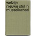 Welzijn Nieuwe Stijl in Musselkanaal